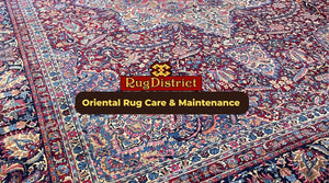 Oriental Rug Care & Maintenance
