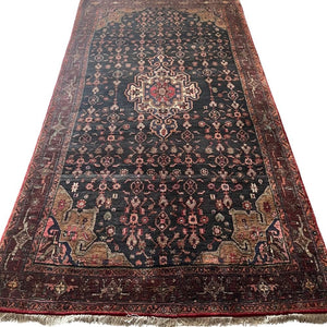 Persian Rug - Koyali 5' x 9'11" - Rug District