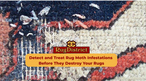 Detect and Treat Rug Moth Infestations