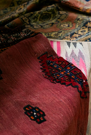 How to Detect and Treat Carpet Moth Infestations Before They Cause Irreversible Damage to Your Collection