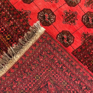 Afghan Rug Turkman 6'7" x 9'10" - Rug District