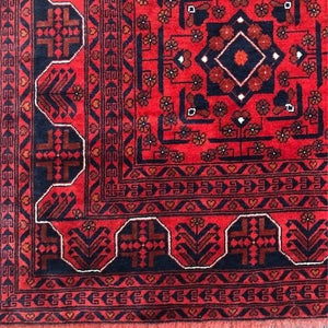 Afghan Rug Turkman 8'11" x 11'5" - Rug District