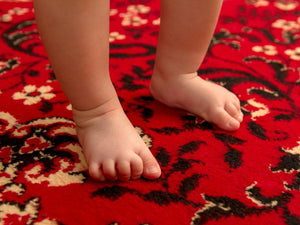 Rug Cleaning Services