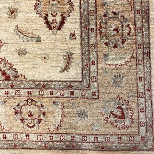 Indian Rug - Chobi 8'1" x 11'1" - Rug District