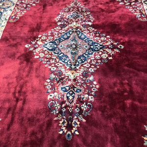 Indian Rug Sarouk 8'9" x 14'10" - Rug District