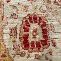 Indian Rug - Chobi 8'10" x 11'6" - Motif