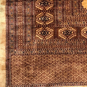 Pakistan Bokhara Rug 12'1" x 15'3" - Rug District