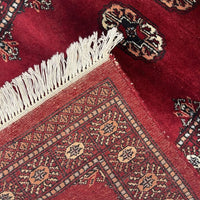 Pakistan Rug - Bokhara 2'8" x 3'10" - Rug District
