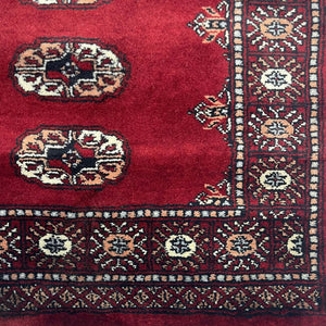 Pakistan Rug - Bokhara 2'8" x 3'10" - Rug District