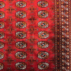 Pakistan Rug Bokhara 6'1" x 8'11" - Rug District