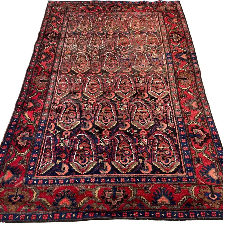 Persian Rug - Borchalu 4'8" x 6'10"