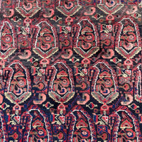 Persian Rug - Borchalu 4'8" x 6'10" - Rug District