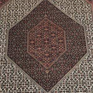 Persian Rug - Bijar 6'8" x 10' - Rug District
